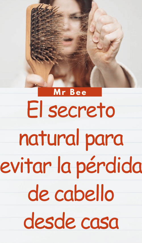 El secreto natural para evitar la pérdida de cabello desde casa image-cabello-103024-33