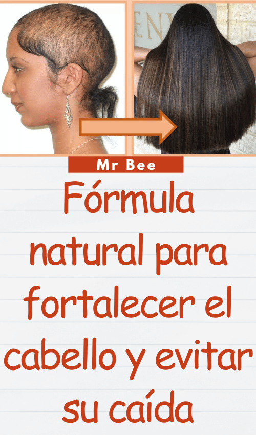 Fórmula natural para fortalecer el cabello y evitar su caída image-cabello-103024-39