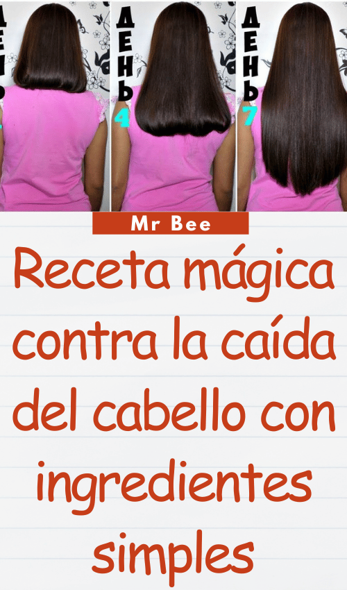 Receta mágica contra la caída del cabello con ingredientes simples image-cabello-103024-45