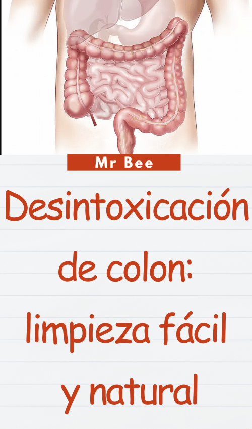 Desintoxicación de colon: limpieza fácil y natural image-colon-110224-11
