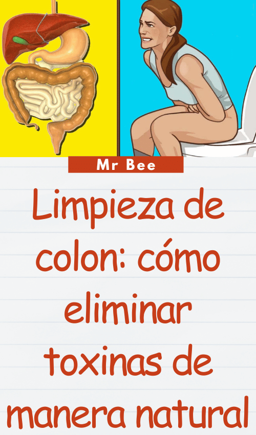 image-colon-110224-19