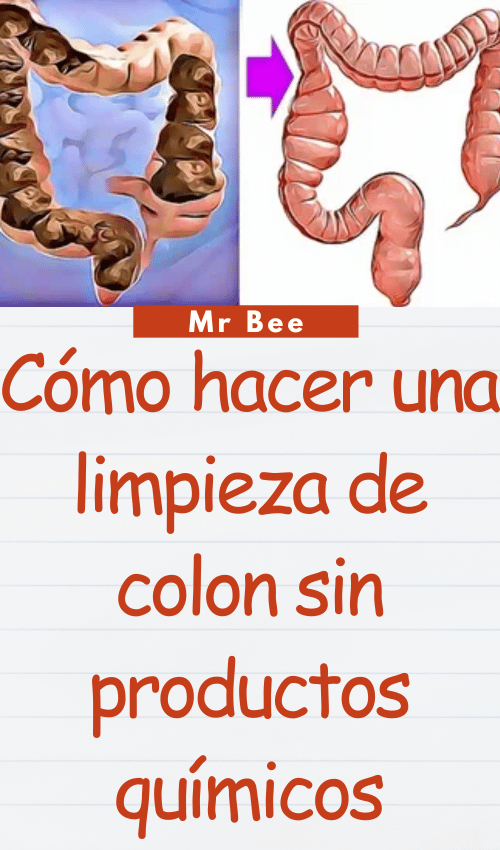 image-colon-110224-31