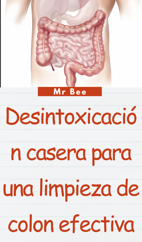Desintoxicación casera para una limpieza de colon efectiva image-colon-110224-35